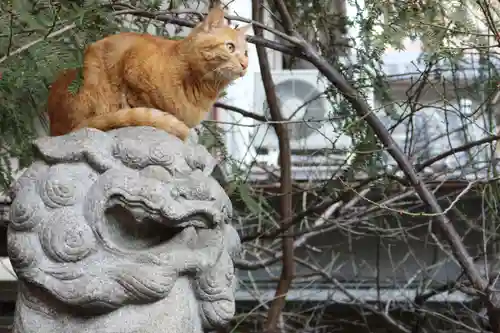 くまくま神社(導きの社 熊野町熊野神社)の動物