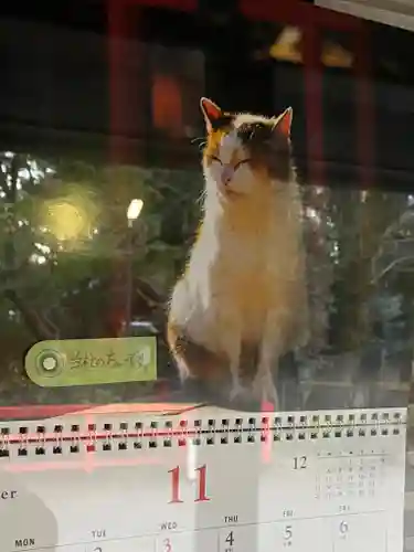 愛宕神社の動物