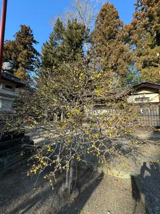 芳賀天満宮(栃木県)