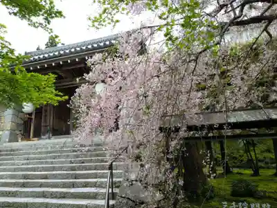 三千院門跡(京都府)