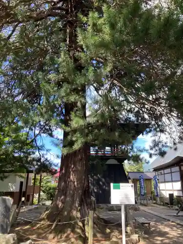 常楽寺(長野県)