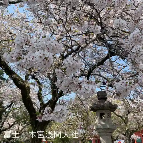 富士山本宮浅間大社(静岡県)