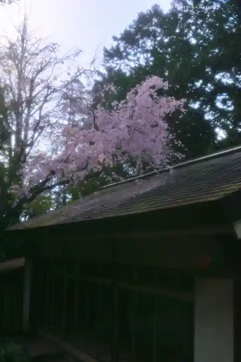伊勢山皇大神宮(神奈川県)