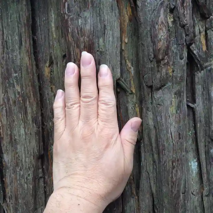 高司神社〜むすびの神の鎮まる社〜(福島県)