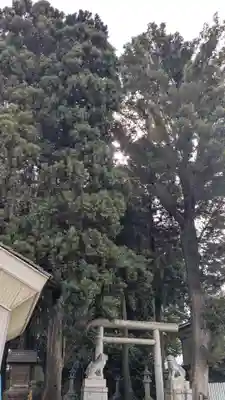 神明社（竹内天神堂古墳）のお墓