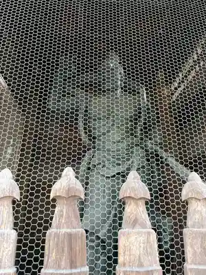 乗蓮寺(東京都)