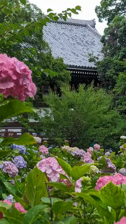 智積院(京都府)