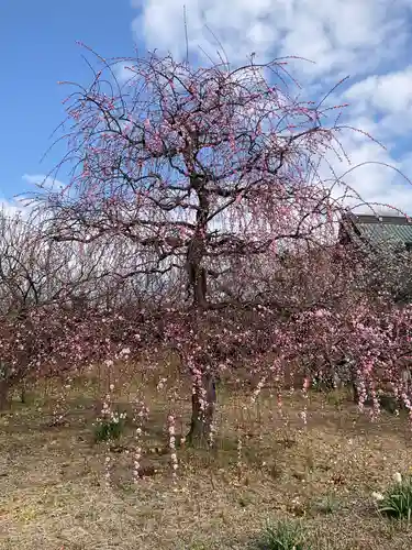 瑞雲寺(神奈川県)