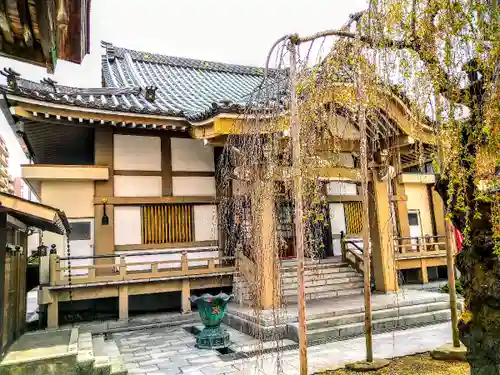 蓮香院の本殿・本堂