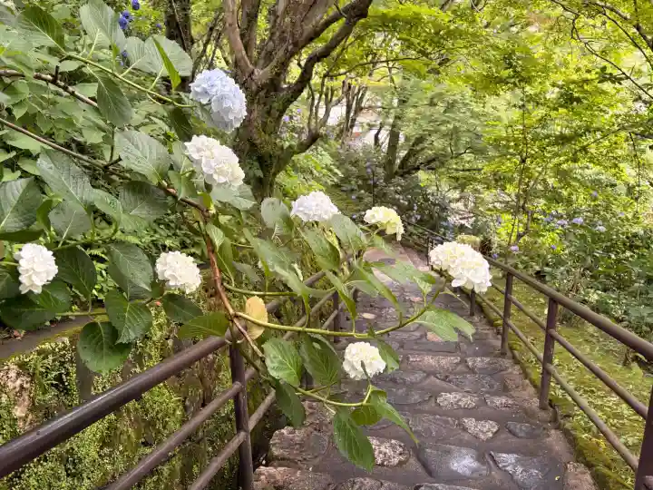 長谷寺(奈良県)