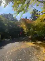 観音寺(岡山県)