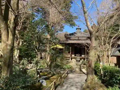 明月院(神奈川県)