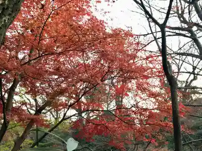 明治神宮(東京都)