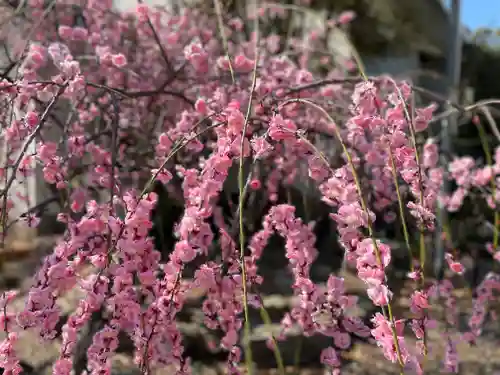 和泉國一之宮　大鳥大社(大阪府)