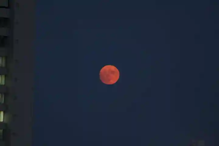 伊勢山皇大神宮の景色