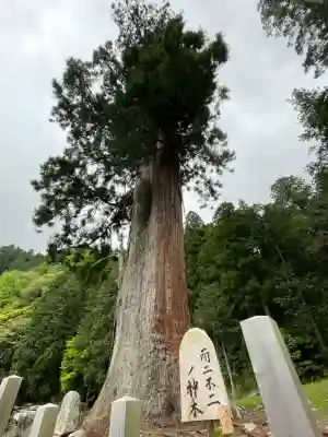 室生龍穴神社(奈良県)