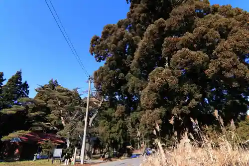 御札神社の景色