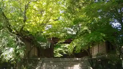 法輪寺の山門・神門