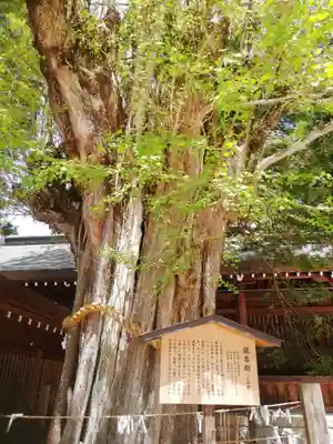 飛驒一宮水無神社(岐阜県)