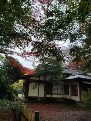 明治神宮(東京都)