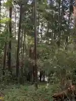 富士浅間大権現の周辺