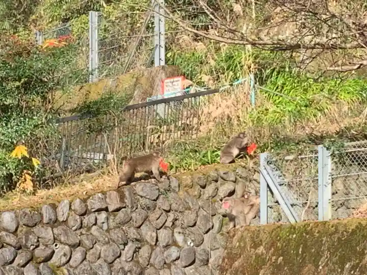 久遠寺(山梨県)