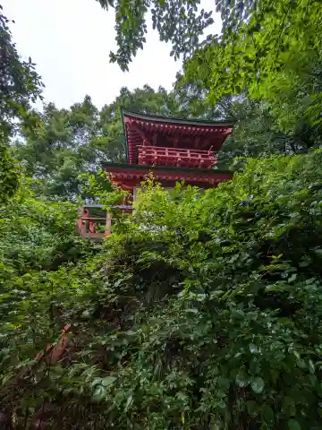 月居観音堂(月居山光明寺観音堂)の本殿・本堂