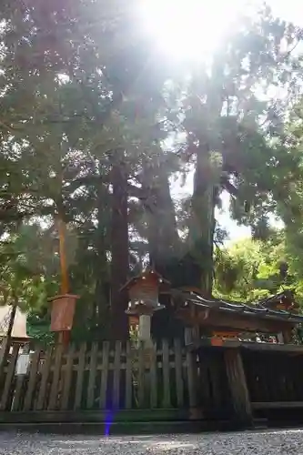 大神神社の自然