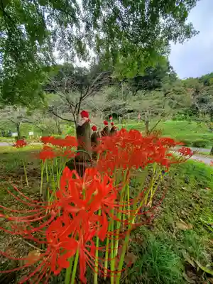 陽林寺(福島県)