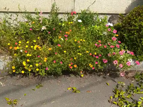 木華佐久耶比咩神社の自然
