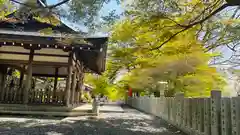 桑田神社(京都府)