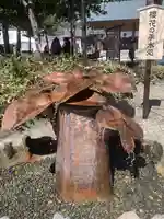 櫻木神社の手水舎