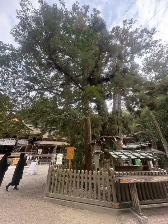 大神神社の{uncategorized: "未分類", other: "その他", undefined: "問題あり", building: "その他建物", grave: "お墓", sacred_gate: "鳥居", guardian: "狛犬", statue: "像", buddha: "仏像", history: "歴史", nature: "自然", garden: "庭園", animal: "動物", pagoda: "塔", temizu: "手水舎", mountain_gate: "山門・神門", sanctuary: "本殿・本堂", subordinate: "末社・摂社", art: "芸術", scenery: "景色", jizo: "地蔵", ema: "絵馬", goshuin: "御朱印", omikuji: "おみくじ", items: "授与品その他", amulet: "お守り", goshuincho: "御朱印帳", eats: "食事", festival: "お祭り", votive_dance: "神楽", shichigosan: "七五三参", wedding: "結婚式", experience: "体験その他", initially: "初詣", around: "周辺", anti_infection: "感染症対策"}