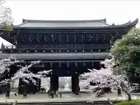 知恩院の山門・神門