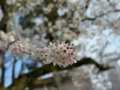 伊勢の国 四天王寺(三重県)