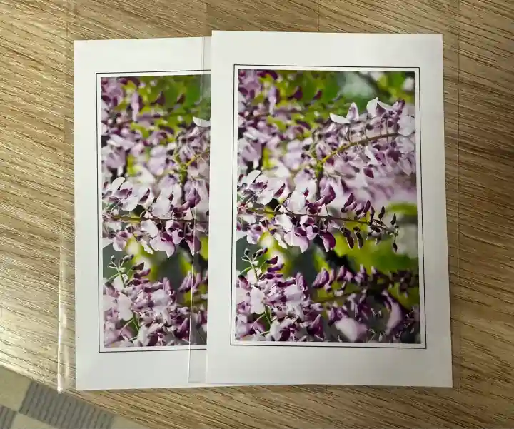 常泉寺(神奈川県)