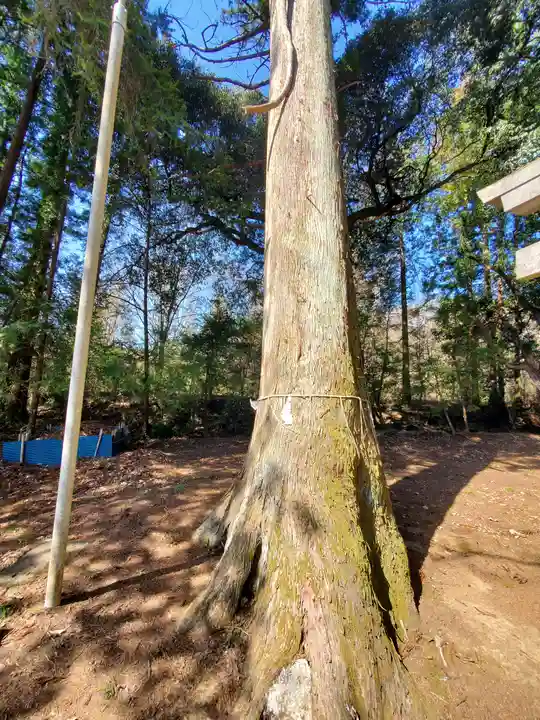 鹿島神社 本殿(栃木県)