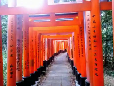 伏見稲荷大社の鳥居