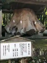 宇奈岐日女神社の自然