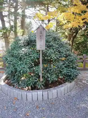 白石神社(北海道)