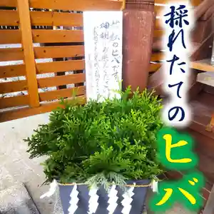 七重浜海津見神社(北海道)(2025年10月28日(火) 08時25分29秒投稿)