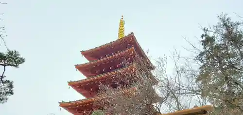 高幡不動尊　金剛寺の塔