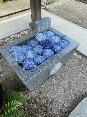 荘内神社(山形県)