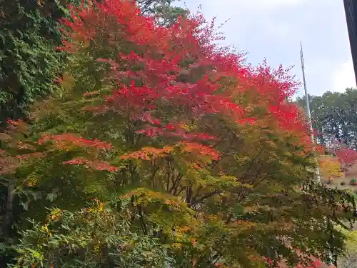 日間神社(兵庫県)