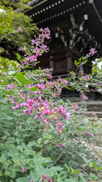 真正極楽寺(真如堂)(京都府)