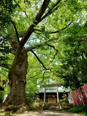 愛宕神社(福島県)