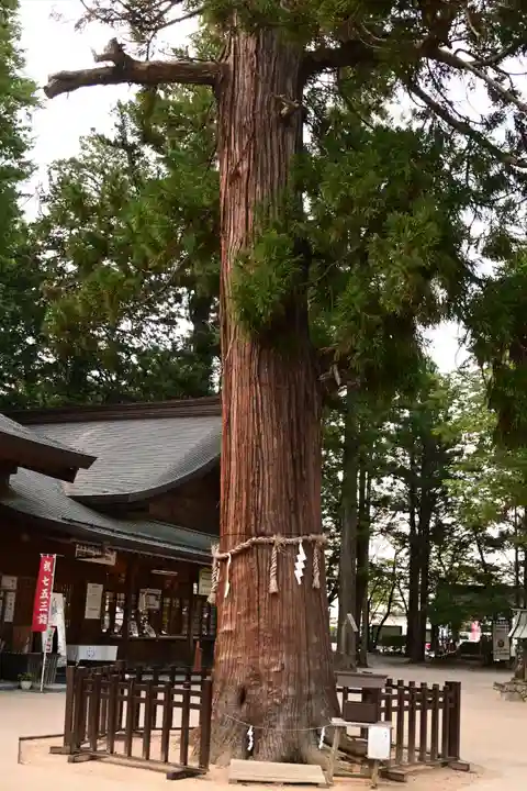 穂高神社本宮(長野県)