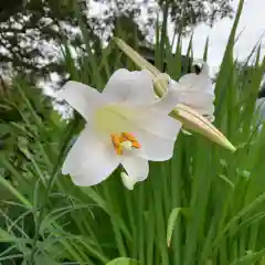 豊景神社の自然