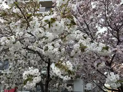 大阪天満宮(大阪府)