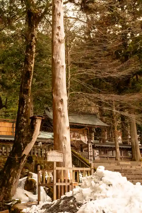 諏訪大社(長野県)